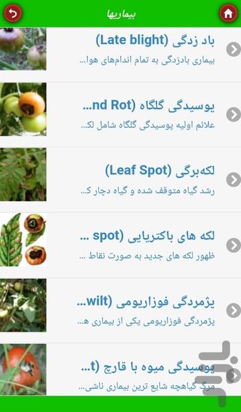 کشت گوجهفرنگی - عکس برنامه موبایلی اندروید