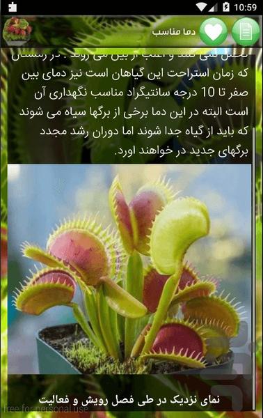 ونوس حشره خوار - عکس برنامه موبایلی اندروید