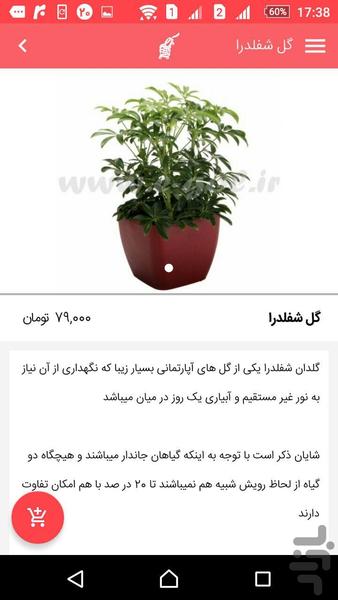 ای گل - عکس برنامه موبایلی اندروید