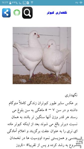 علم کبوتر داری - Image screenshot of android app