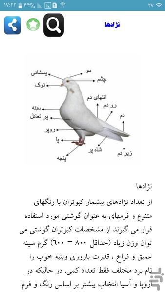 علم کبوتر داری - عکس برنامه موبایلی اندروید