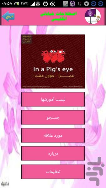 اصطلاحات خیابانی انگلیسی - Image screenshot of android app