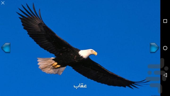 آموزش حیوانات - عکس برنامه موبایلی اندروید