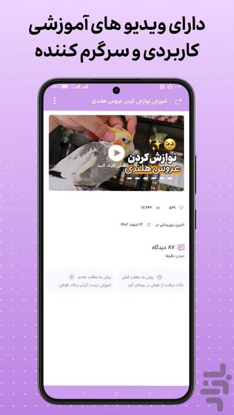 طوطی تامر | آموزش عروس هلندی - عکس برنامه موبایلی اندروید