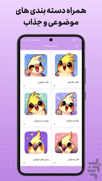 طوطی تامر | آموزش عروس هلندی - عکس برنامه موبایلی اندروید