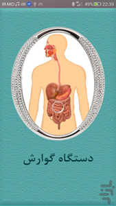 digestive system - Image screenshot of android app