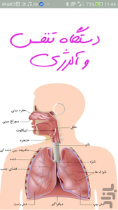 Respiratory System - Image screenshot of android app