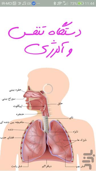 دستگاه تنفس و آلرژی - عکس برنامه موبایلی اندروید