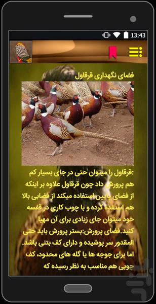 کسب درآمد با قرقاول - عکس برنامه موبایلی اندروید