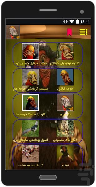 کسب درآمد با قرقاول - عکس برنامه موبایلی اندروید