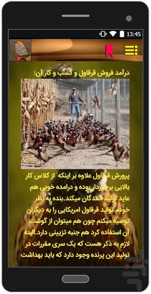 کسب درآمد با قرقاول - عکس برنامه موبایلی اندروید