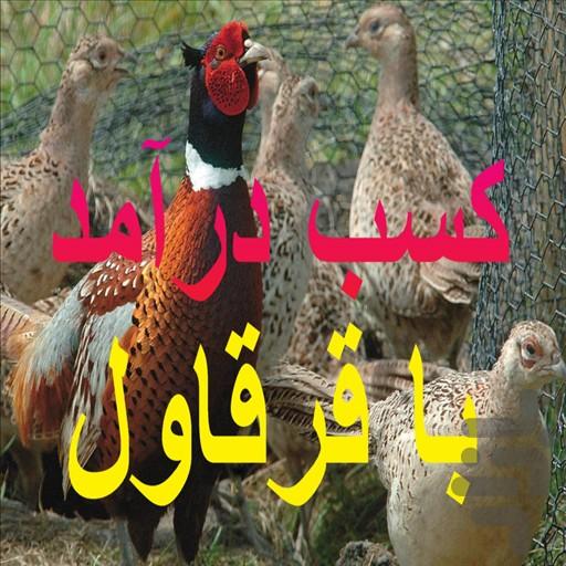کسب درآمد با قرقاول - عکس برنامه موبایلی اندروید