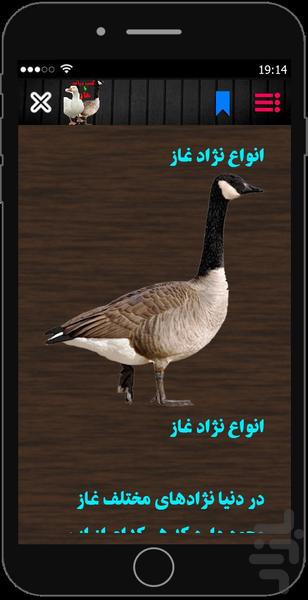 ir.ghaze20 - Image screenshot of android app