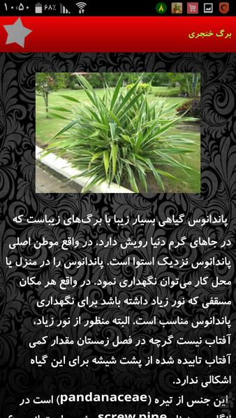 گل و گیاه آپارتمانی - Image screenshot of android app