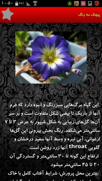 گل و گیاه آپارتمانی - عکس برنامه موبایلی اندروید