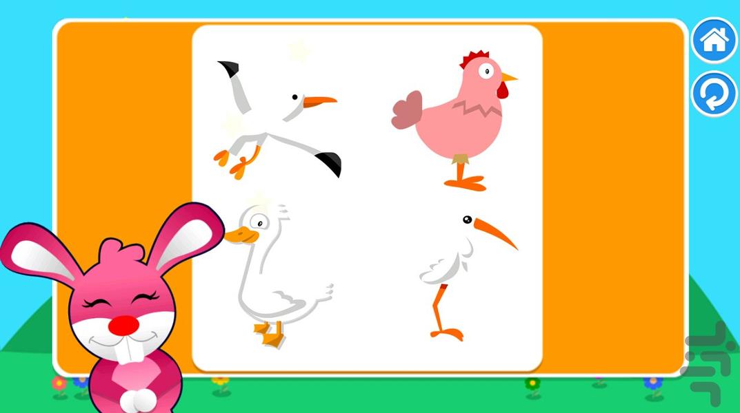 پازل سایه ها - پرندگان - Gameplay image of android game