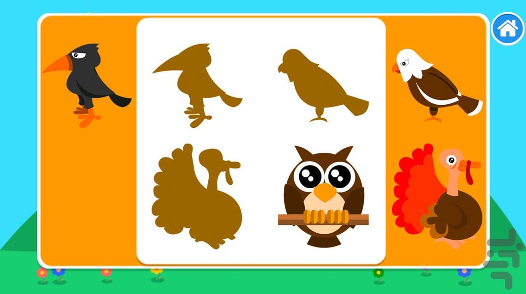 پازل سایه ها - پرندگان - Gameplay image of android game