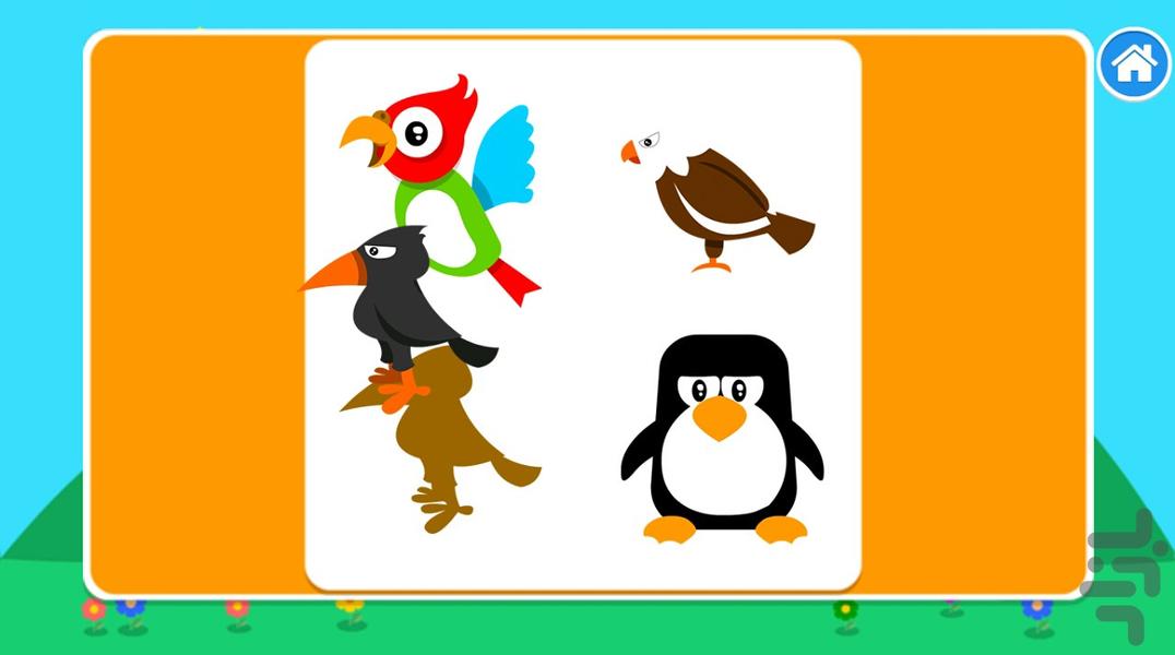 پازل سایه ها - پرندگان - Gameplay image of android game
