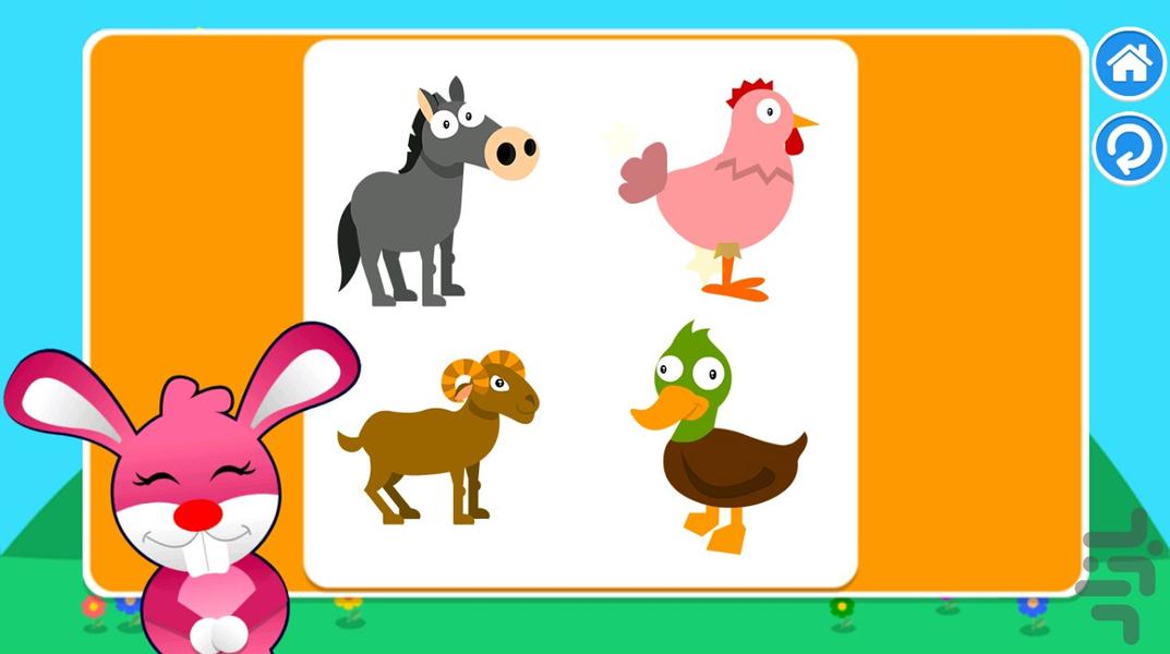 پازل سایه ها - حیوانات اهلی - عکس بازی موبایلی اندروید