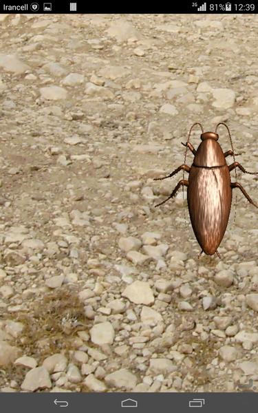 سوسک بازی - Gameplay image of android game