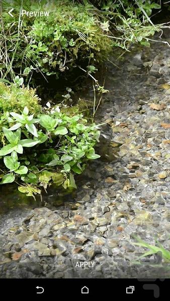 پس زمینه زنده آرامش ۳۳ - عکس برنامه موبایلی اندروید