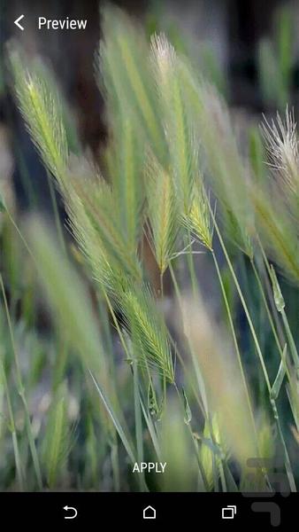 پس زمینه زنده آرامش ۳۶ - عکس برنامه موبایلی اندروید