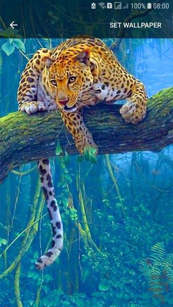 پس زمینه زنده (گالری) - عکس برنامه موبایلی اندروید