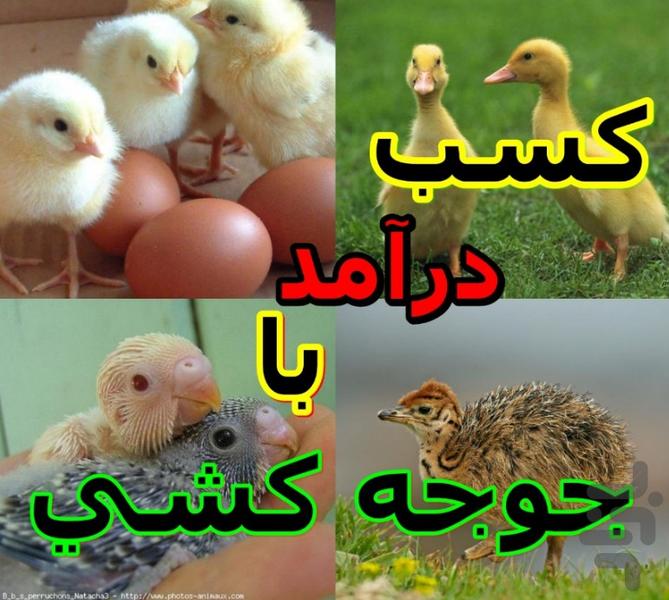 ir.joje - Image screenshot of android app