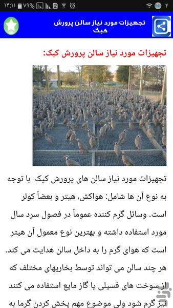 کبک پرورش بده - Image screenshot of android app