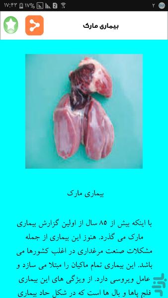 علم کبوتر داری - عکس برنامه موبایلی اندروید