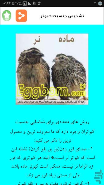 علم کبوتر داری - عکس برنامه موبایلی اندروید