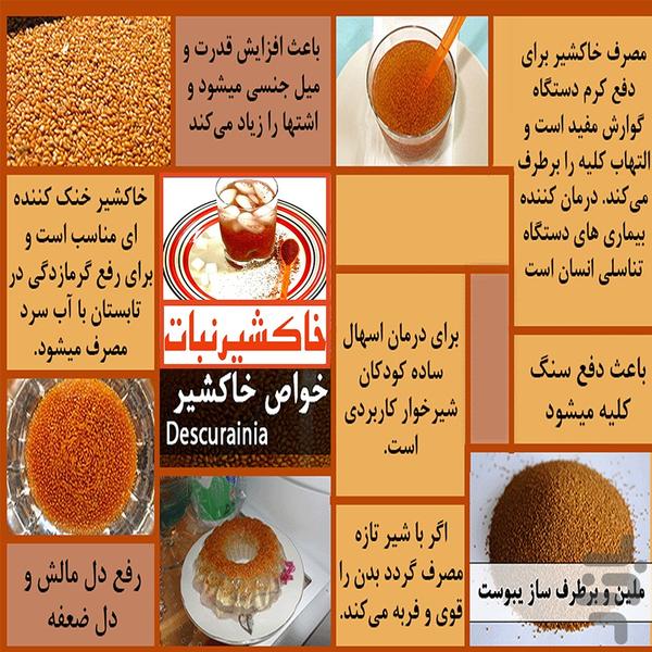 خاکشیر+خواص+طب سنتی+درمان گرمازدگی - عکس برنامه موبایلی اندروید