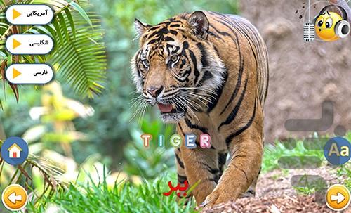 آموزش انگلیسی حیوانات - عکس برنامه موبایلی اندروید