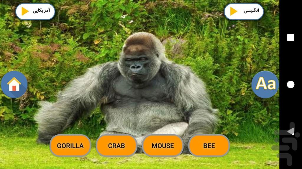 English Animals - Image screenshot of android app