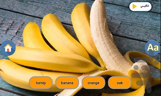 آموزش انگلیسی میوه و سبزیجات - Image screenshot of android app