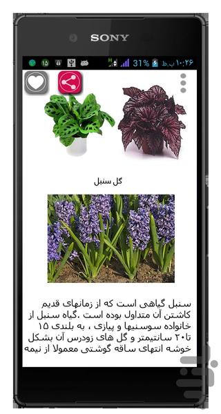 گل و گلستان - عکس برنامه موبایلی اندروید