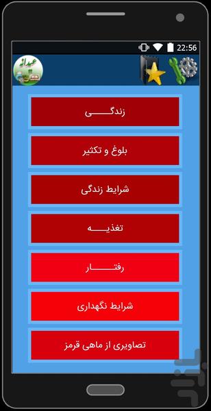 سبزه عید+نقاشی تخم مرغ+ماهی(عیدانه) - عکس برنامه موبایلی اندروید