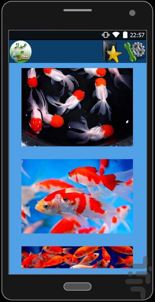 سبزه عید+نقاشی تخم مرغ+ماهی(عیدانه) - عکس برنامه موبایلی اندروید