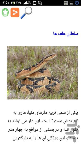 سمی ترین و ترسناک ترین مارهای دنیا - Image screenshot of android app