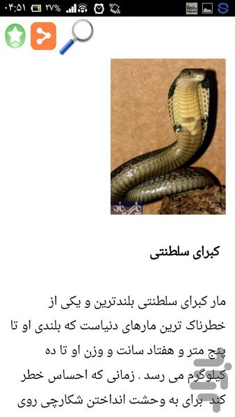سمی ترین و ترسناک ترین مارهای دنیا - Image screenshot of android app