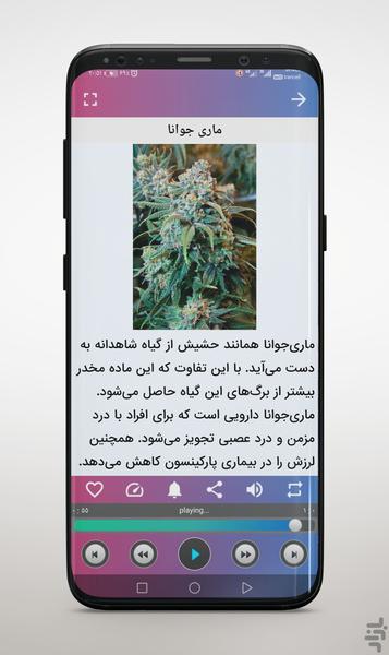 Recognition of drugs - Image screenshot of android app