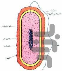 microorganism - Image screenshot of android app