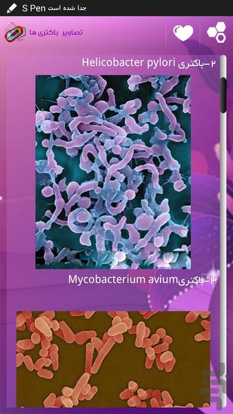 میکروارگانیسم - عکس برنامه موبایلی اندروید