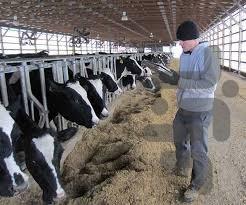 کشاورزی و دامپروری پرسود - عکس برنامه موبایلی اندروید