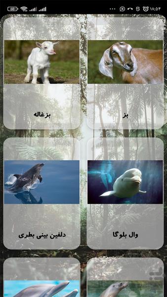 صدای حیوانات - Image screenshot of android app