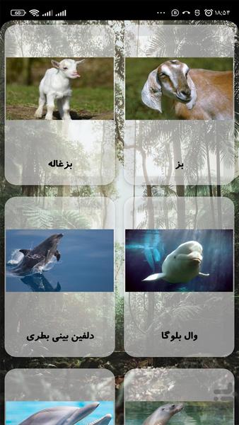 صدای حیوانات - عکس برنامه موبایلی اندروید