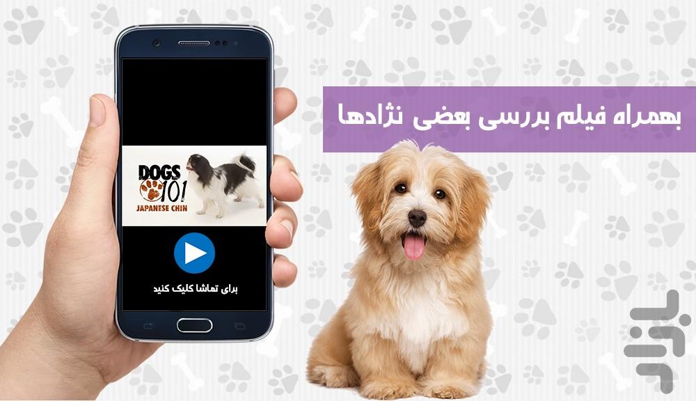 مِستر داگ - Image screenshot of android app