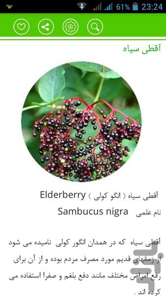 عطار باشی (داروهای گیاهی) - Image screenshot of android app