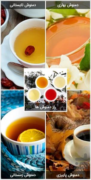 The secret of Herbal Tea - Image screenshot of android app