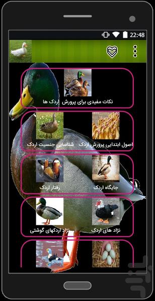 کسب درآمد با اردک - Image screenshot of android app